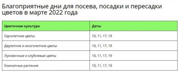 Какую рассаду можно посадить в марте