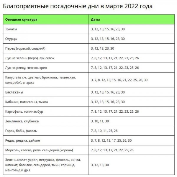 Какую рассаду можно посадить в марте
