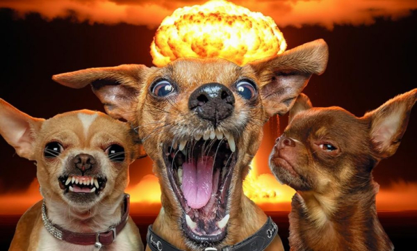 &laquo;Эстонцы собрались бомбить Россию&raquo;: глава МИД Эстонии грозит &laquo;перенести войну&raquo; на российскую территорию &nbsp;