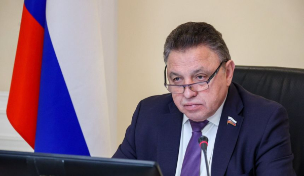 В Совфеде раскритиковали идею отслеживания авиадебоширов в аэропортах