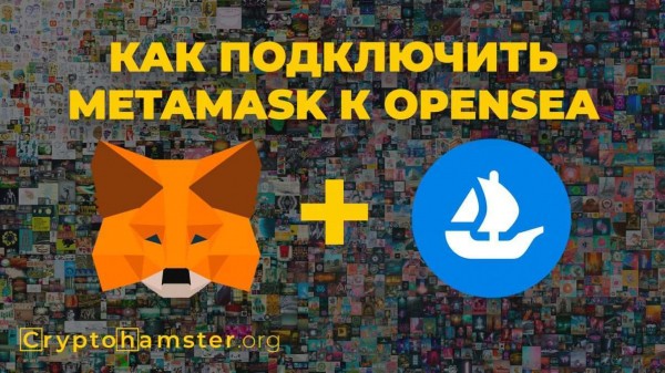Как подключить Metamask к OpenSea