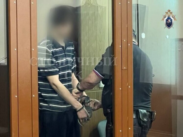 У вымогателей, подравшихся с автоинспекторами в центре Москвы, была юная сообщница